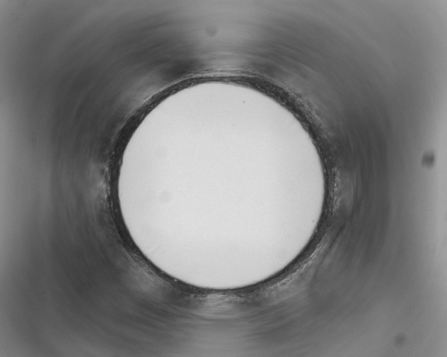 X0000116381449201001131758