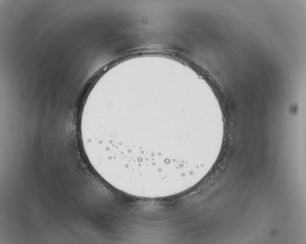 X0000116381450201001131758