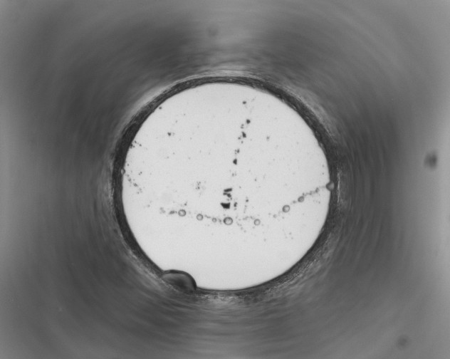 X0000116381452201001131758