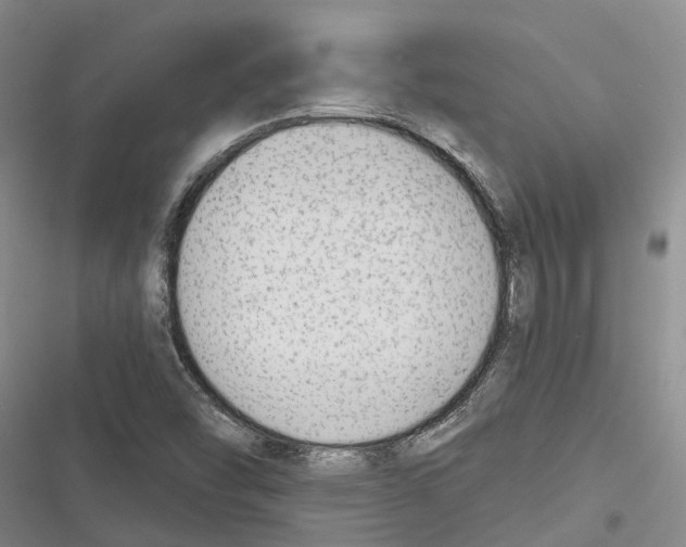 X0000116381454201001131758