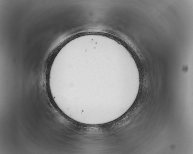X0000116381456201001131758