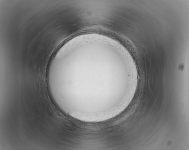 X0000116381457201001131758
