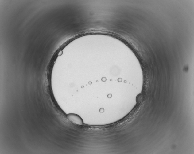 X0000116381458201001131758