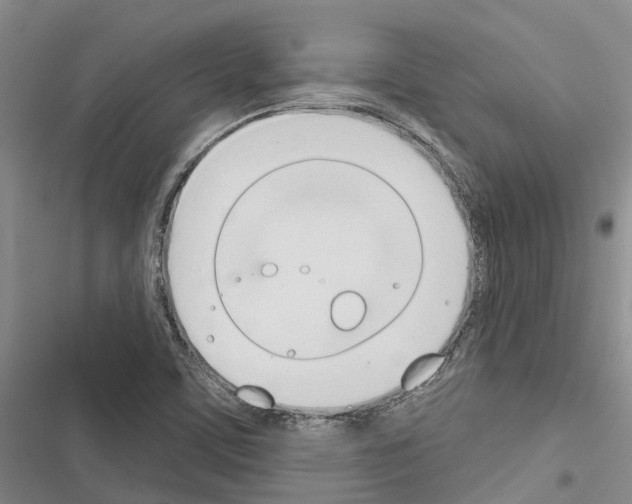 X0000116381459201001131758