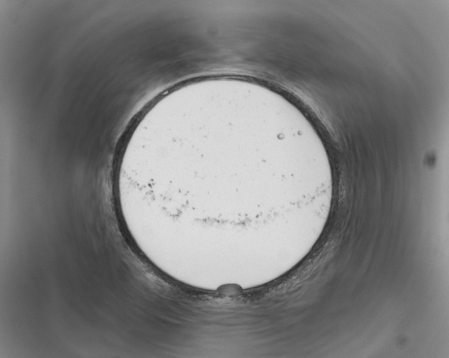 X0000116381460201001131758
