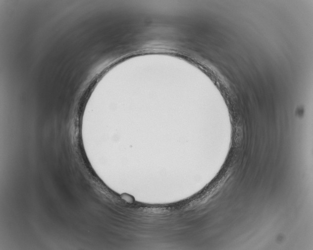 X0000116381461201001131758