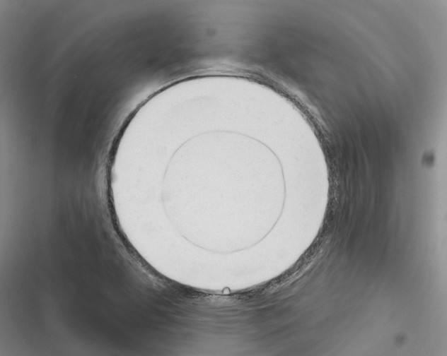X0000116381463201001131758