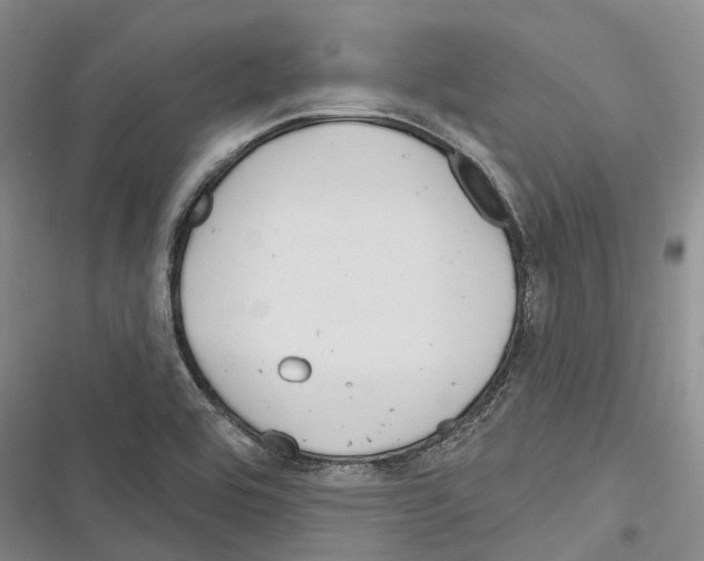 X0000116381464201001131758