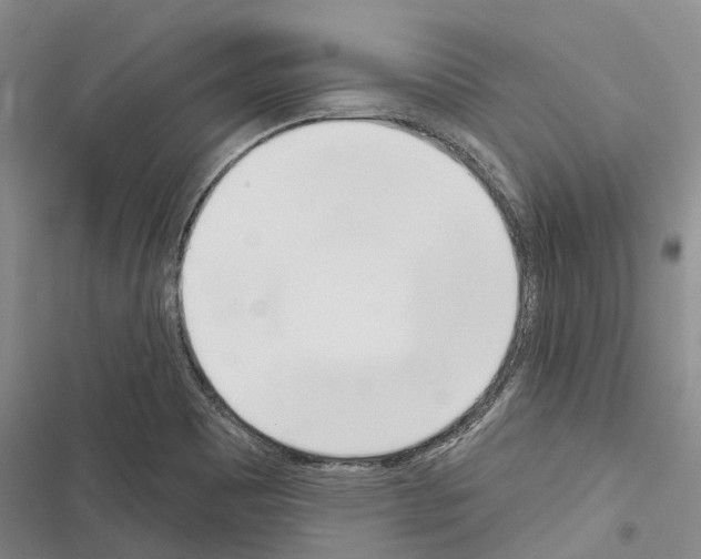 X0000116381465201001131758