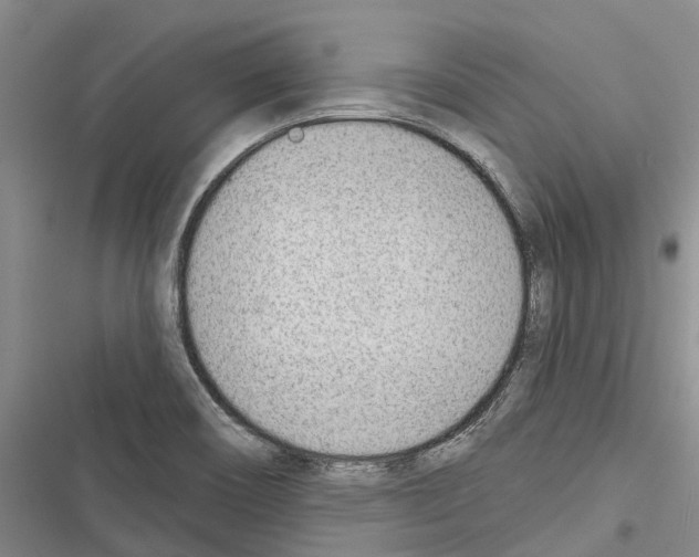 X0000116381466201001131758