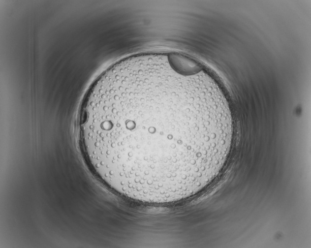 X0000116381467201001131758