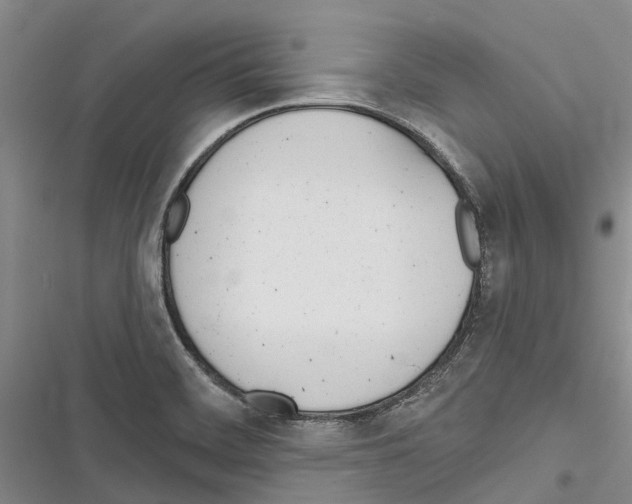 X0000116381468201001131758