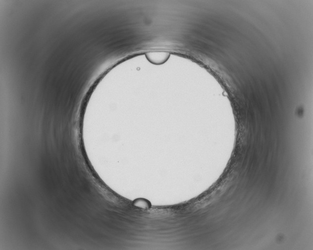 X0000116381469201001131758