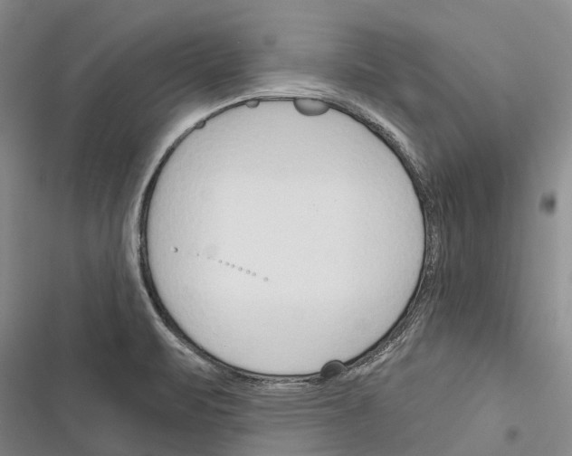 X0000116381471201001131758