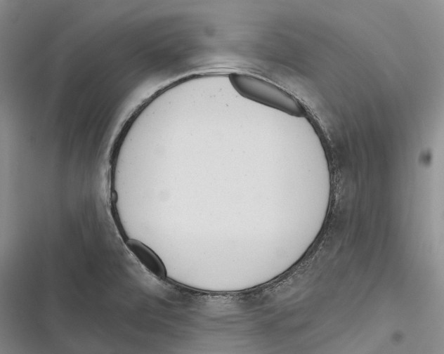 X0000116381472201001131758