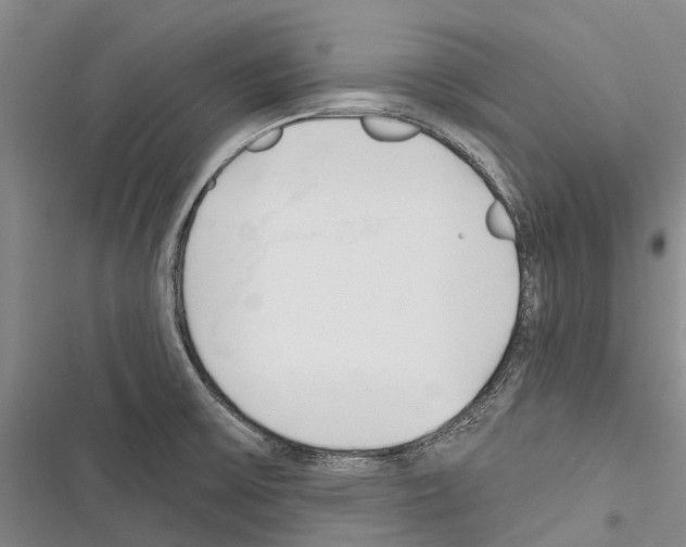 X0000116381475201001131758