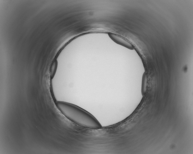X0000116381476201001131758