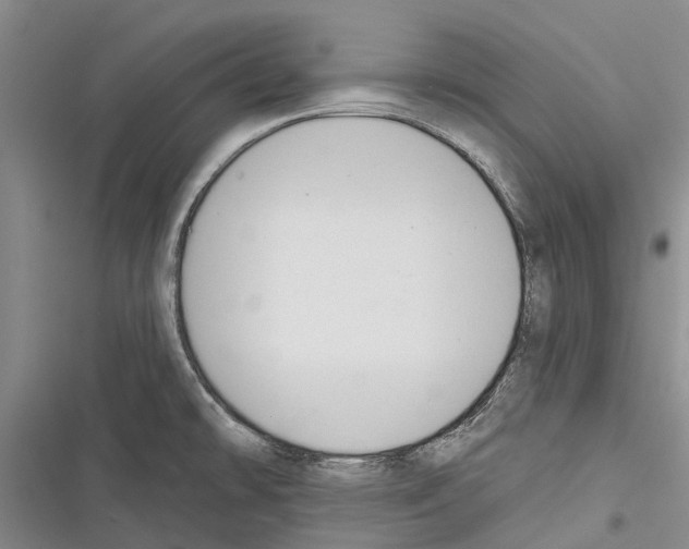 X0000116381478201001131758