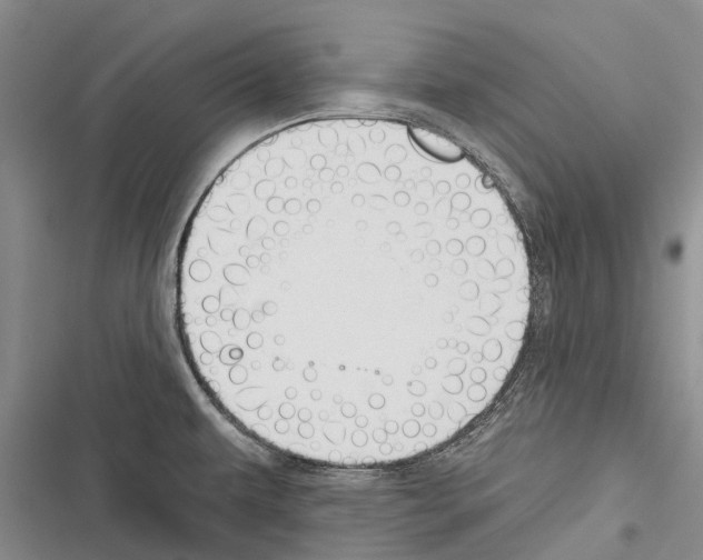 X0000116381479201001131758