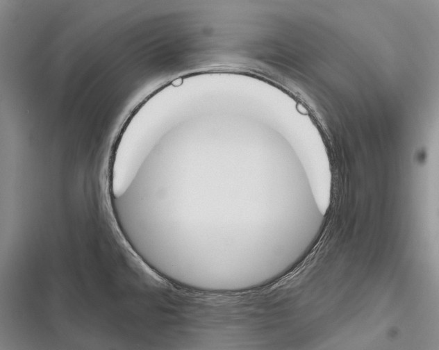 X0000116381480201001131758