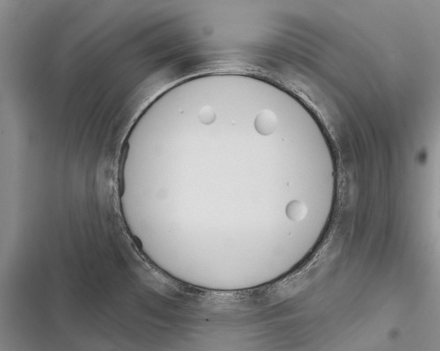 X0000116381481201001131758