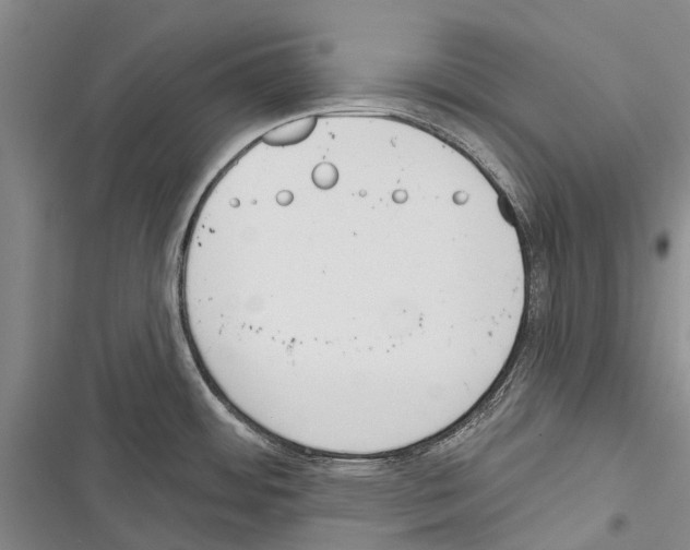 X0000116381484201001131758