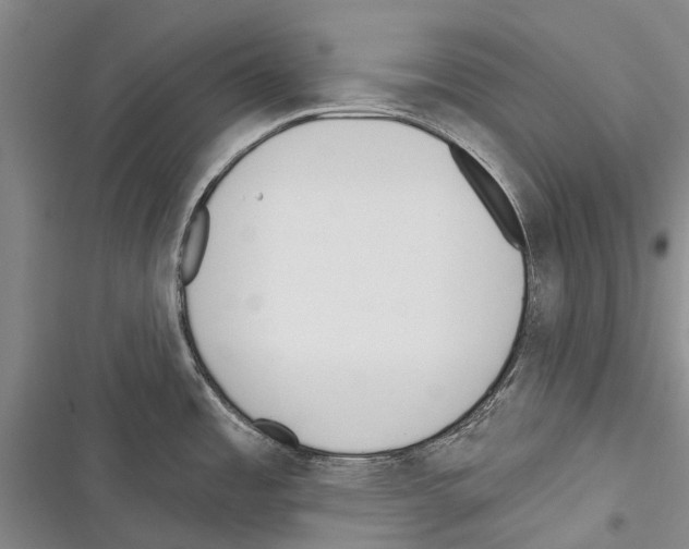 X0000116381485201001131758