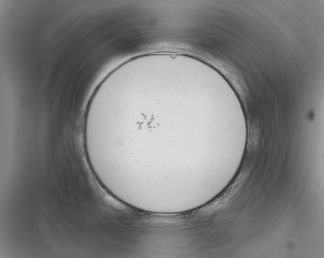 X0000116381486201001131758