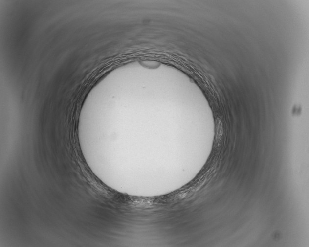 X0000116381489201001131757