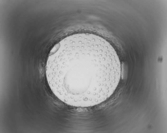 X0000116381491201001131757