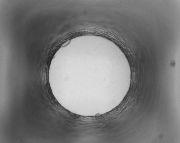 X0000116381493201001131757