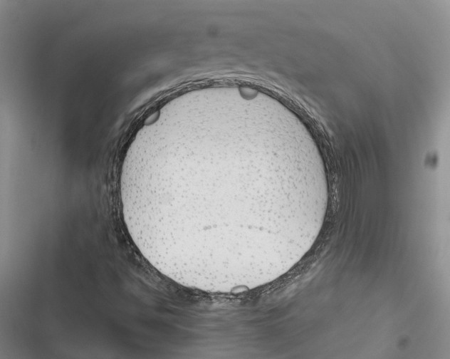 X0000116381494201001131757