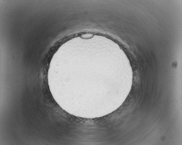 X0000116381495201001131757