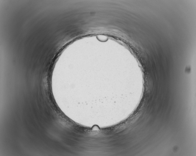 X0000116381497201001131757