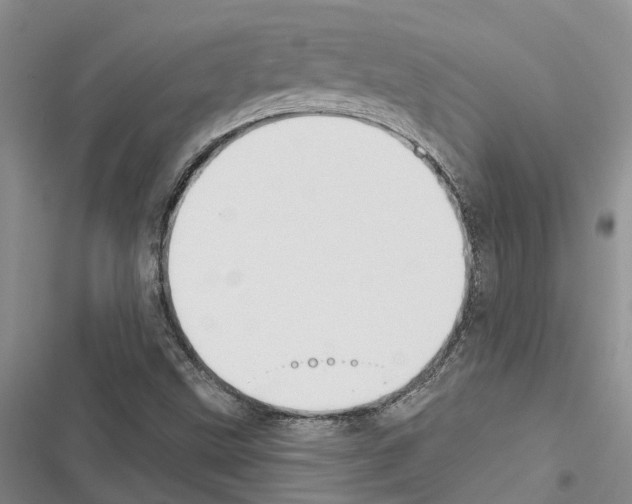 X0000116381499201001131757