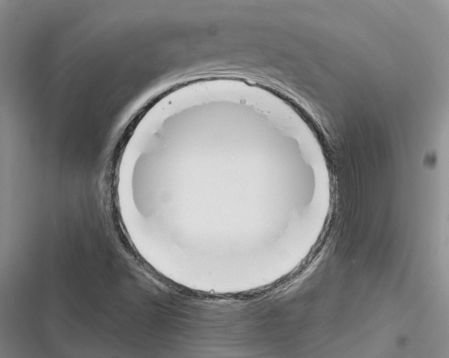 X0000116381502201001131757