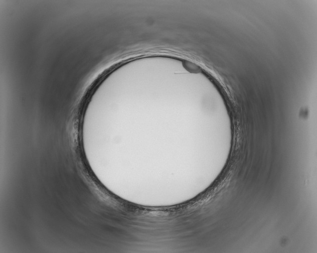 X0000116381503201001131757