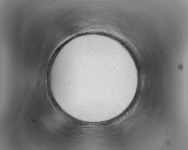 X0000116381505201001131757