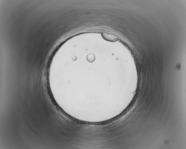 X0000116381506201001131757