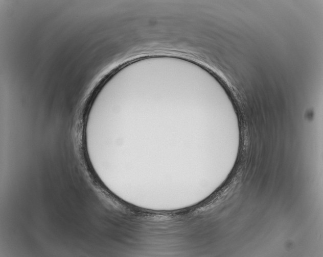 X0000116381507201001131757