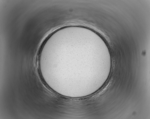 X0000116381509201001131757