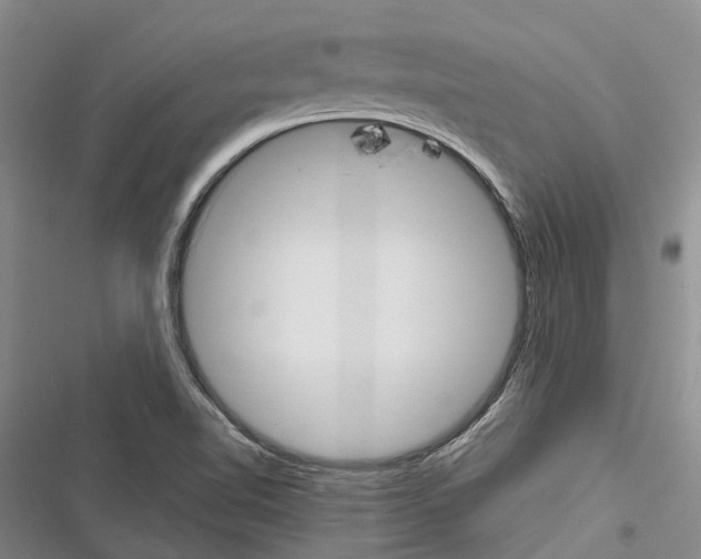 X0000116381510201001131757