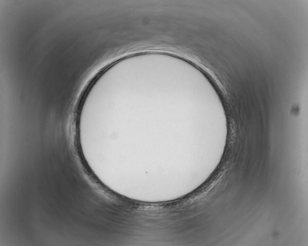 X0000116381511201001131757