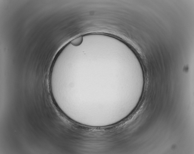 X0000116381513201001131757