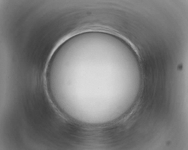X0000116381514201001131757