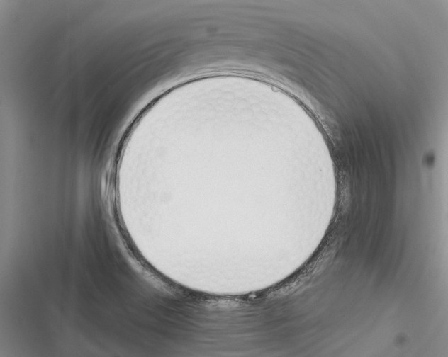 X0000116381515201001131758