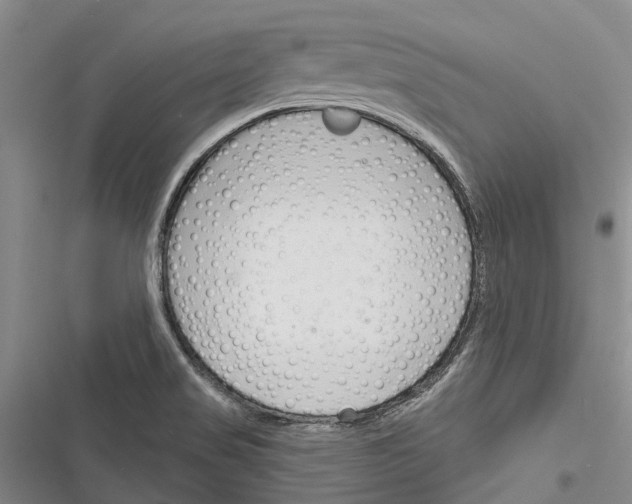 X0000116381517201001131758