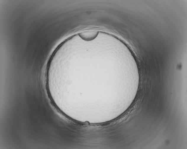 X0000116381519201001131758