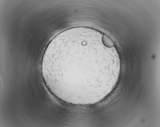 X0000116381521201001131758