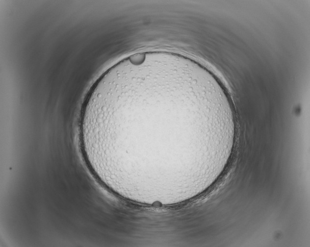 X0000116381525201001131758